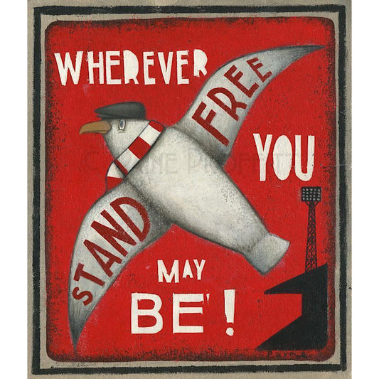 Aberdeen Gift - Seagull Stand Free Ltd Edition Signed Football Print | BWSportsArt